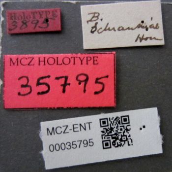 Media type: image;   Entomology 35795 Aspect: labels